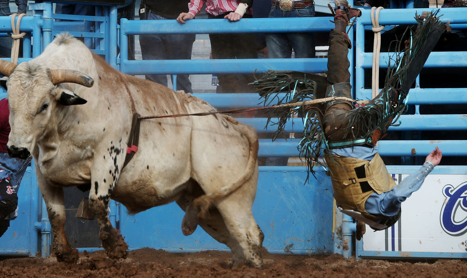 2018 Tucson Rodeo